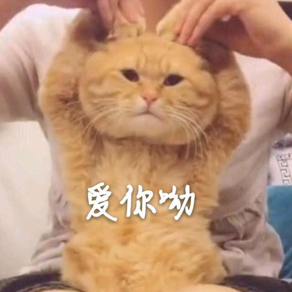 评论图片